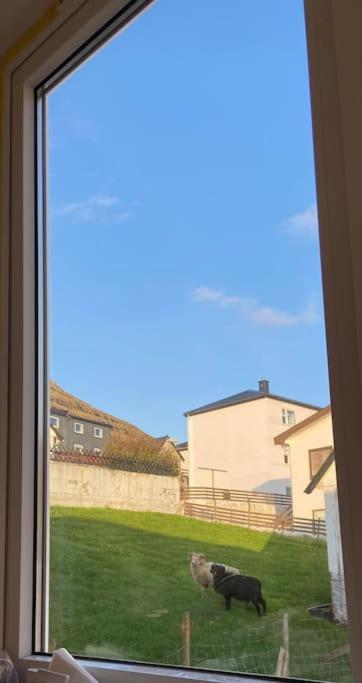 Cozy Apartment In Klaksvík Esterno foto